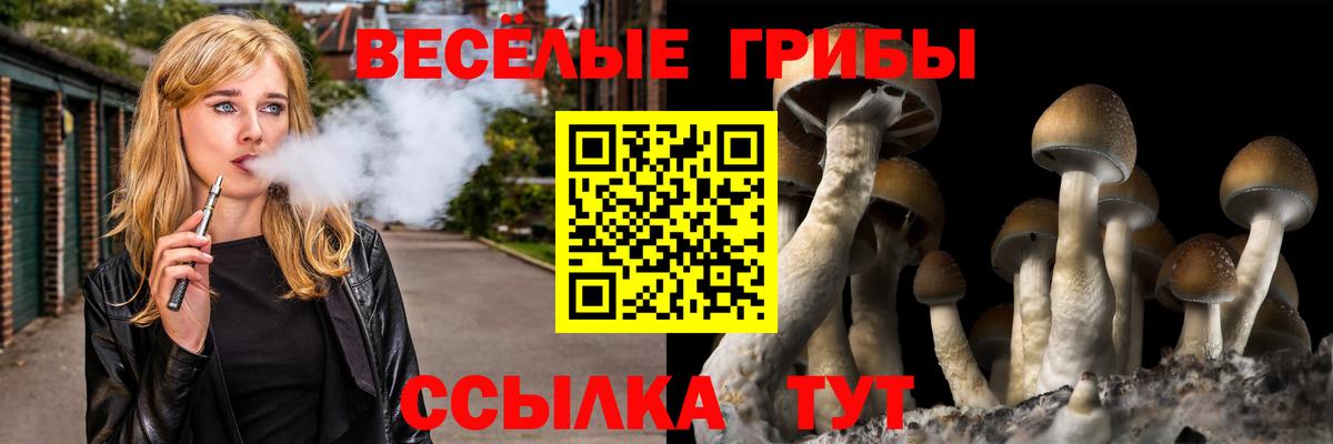 Псилоцибиновые грибы Psilocybe Отрадное